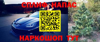 мяу мяу мука Азнакаево