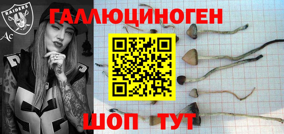 Псилоцибиновые грибы мицелий  Алушта  Галлюциногенные грибы прущие грибы 