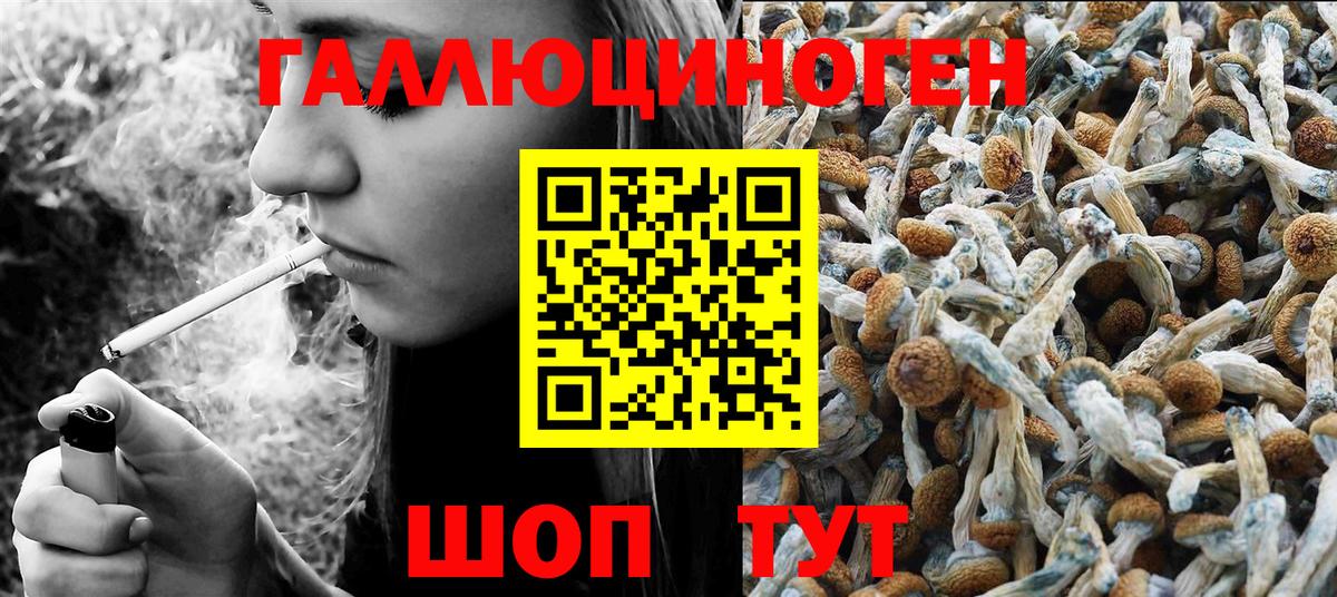 Алушта  Галлюциногенные грибы MAGIC MUSHROOMS  Вход с VPN 