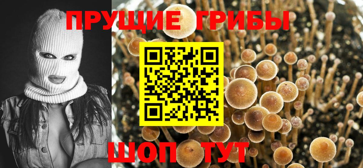 Галлюциногенные грибы прущие грибы Алушта