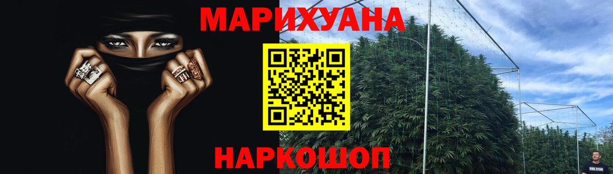 Конопля планчик  Канабис MAZAR  Алушта  МАРИХУАНА White Widow 